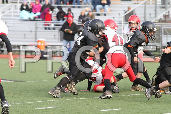 IMG_0384 (Small)