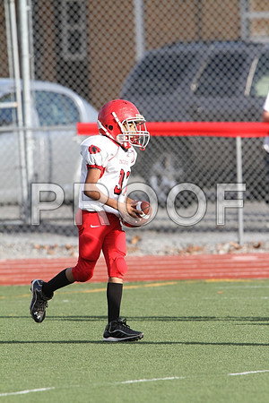 IMG_2603 (Large)
