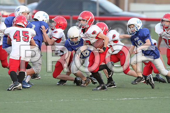 IMG_2875 (Large)