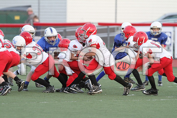 IMG_2870 (Large)