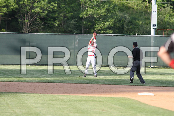 IMG_6463 (Medium)