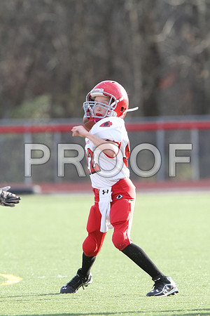 IMG_2620 (Large)