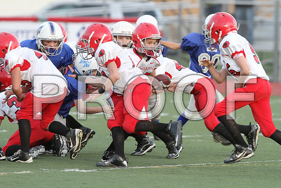 IMG_2862 (Large)