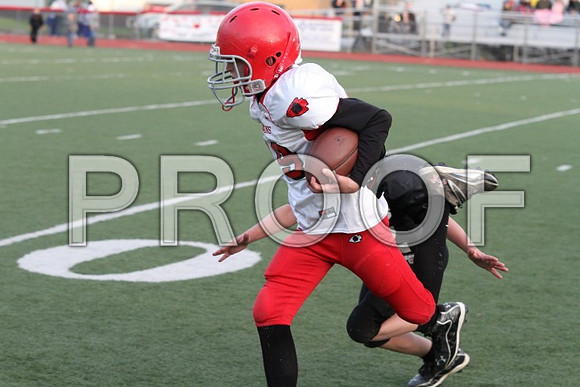 IMG_0456 (Small)