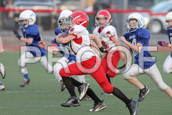 IMG_2878 (Large)
