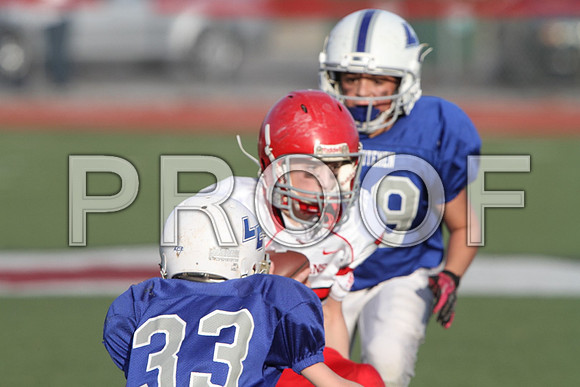 IMG_2663 (Large)