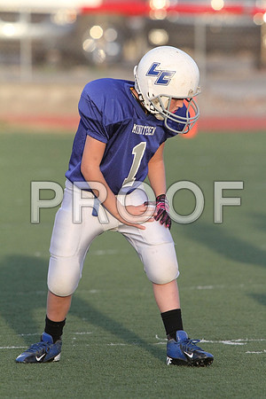 IMG_2801 (Large)
