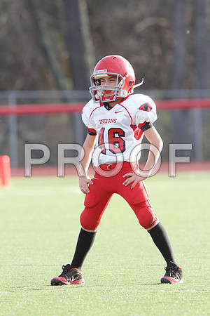 IMG_2613 (Large)