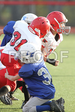 IMG_2644 (Large)