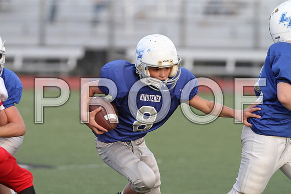IMG_2822 (Large)