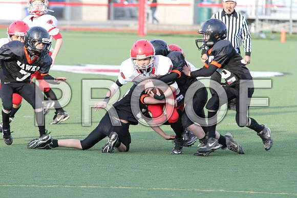 IMG_0409 (Small)