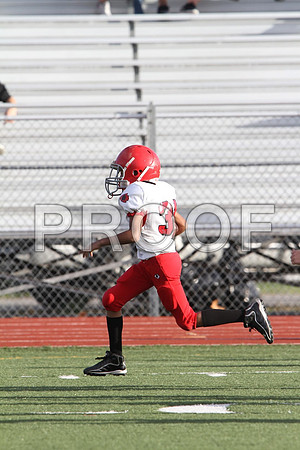 IMG_2602 (Large)