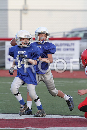 IMG_2814 (Large)