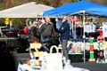 FFA Day at BHS 2-Nov-24