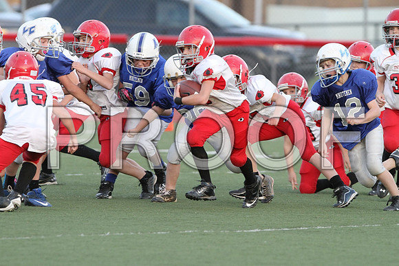 IMG_2874 (Large)