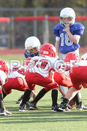 IMG_2650 (Large)