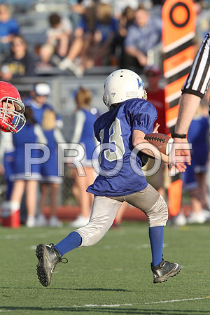 IMG_2716 (Large)