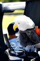 Jamison-Reppert-Golf 06.13.24