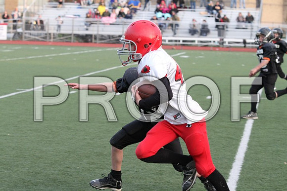 IMG_0455 (Small)