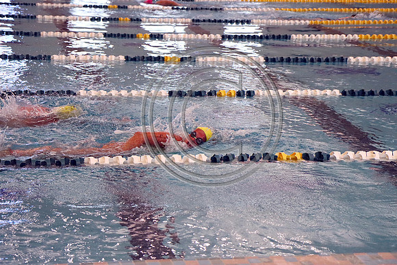 IMG_3427
