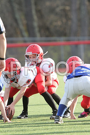 IMG_2619 (Large)