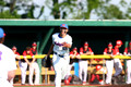 Motown Baseball 24 & 2025
